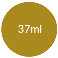 TINTA TECIDO 37ML OCRE OURO 573