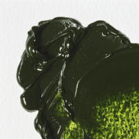 Winton Oil Colour Sap Green